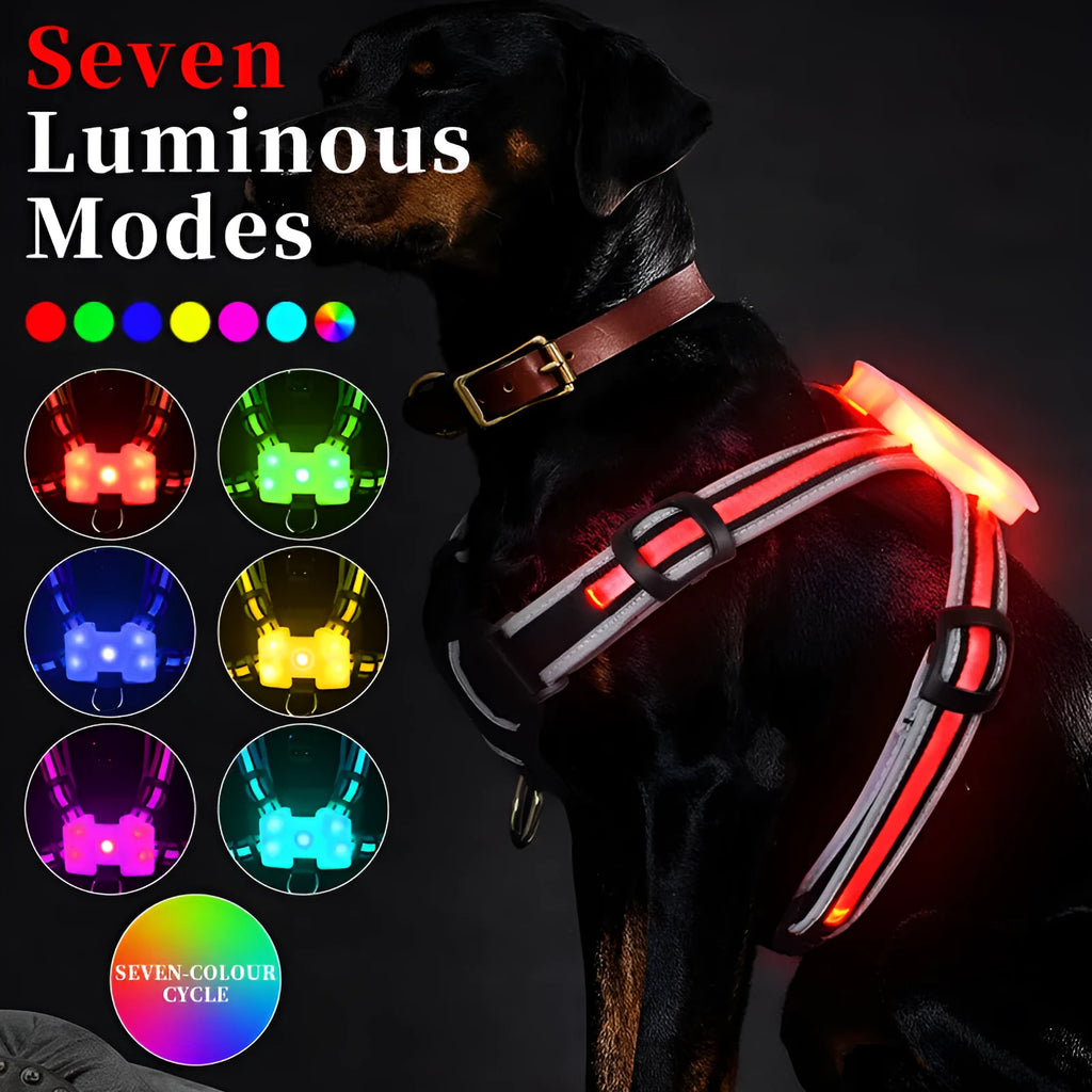 Nylon luminous dog lead with seven-colour changing LED light and charging port