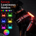 Nylon luminous dog lead with seven-colour changing LED light and charging port