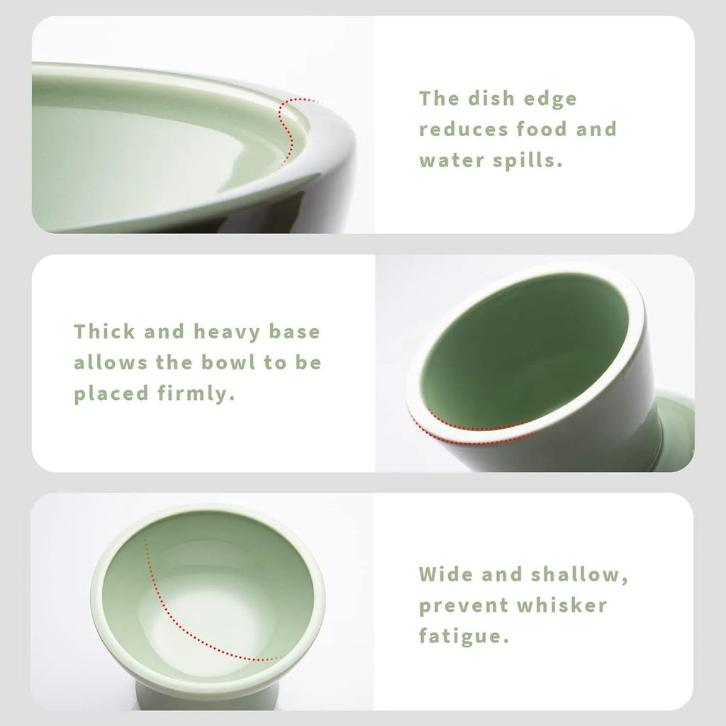 Elevated ceramic cat bowl set with wide shallow dish in blue green pink white colour options