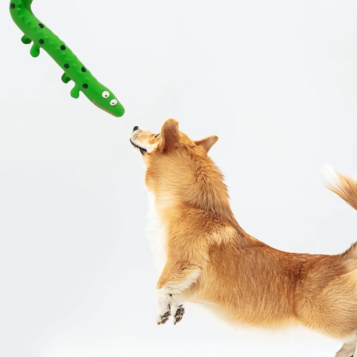Green lizard-shaped dog chew toy with squeaker, measuring 24cm long