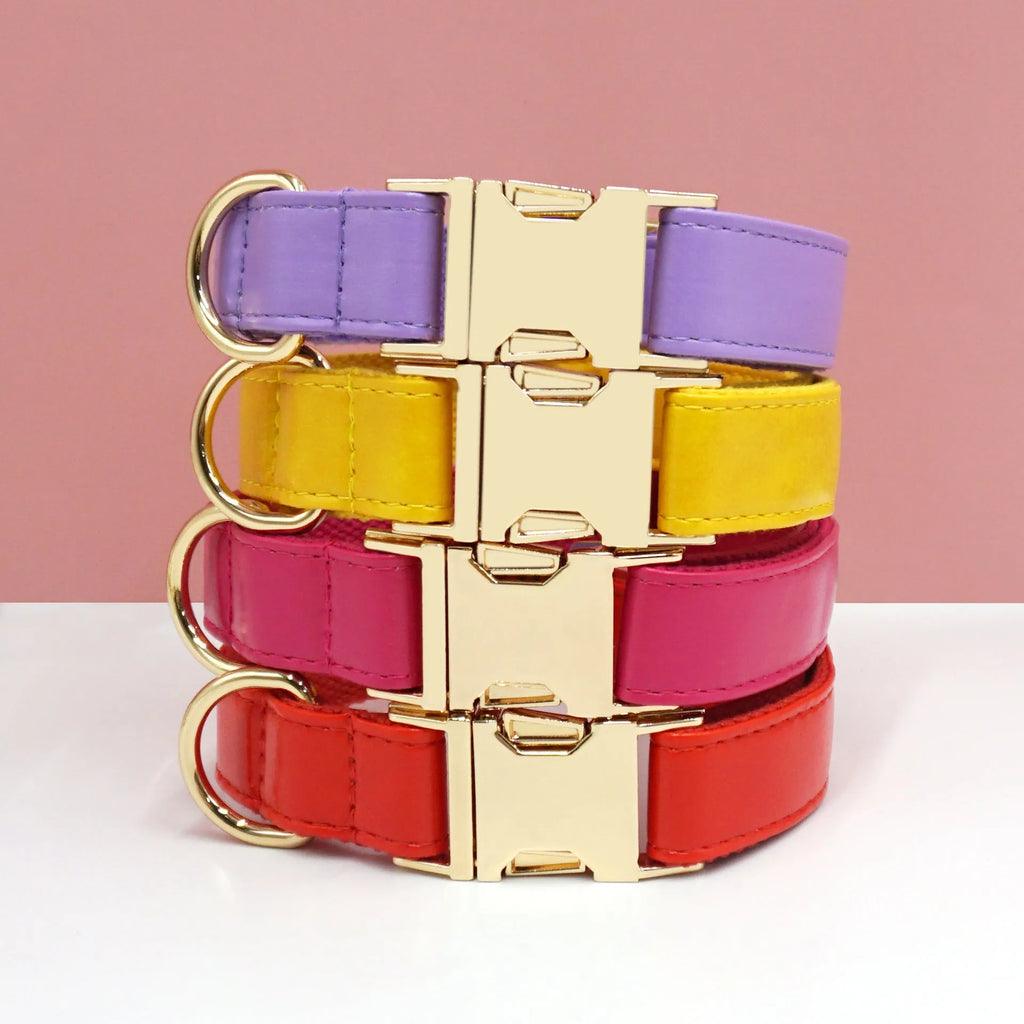 Leather dog collar with velvet colour block in caramel, showing metal buckle and D-ring