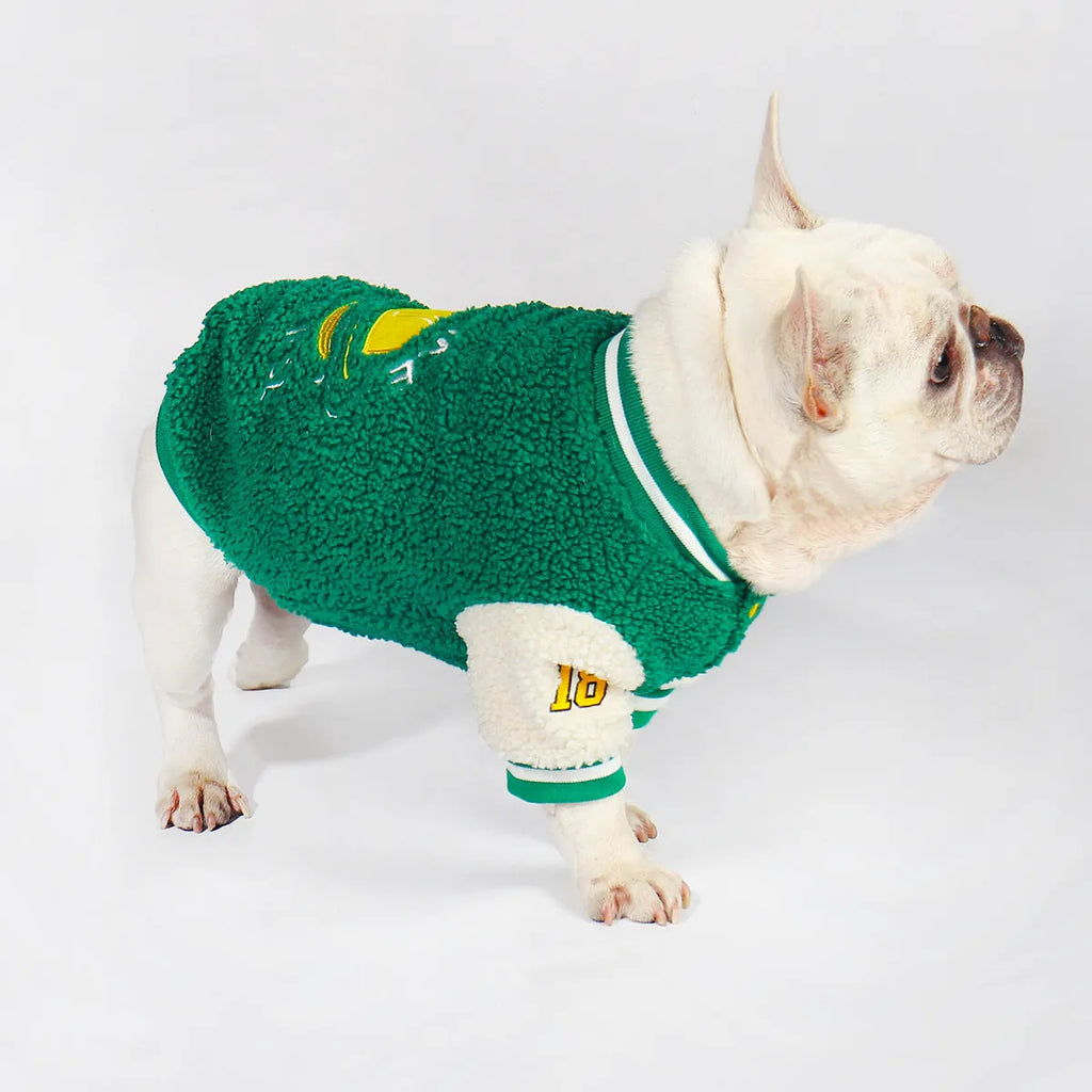 Green fleece-lined dog winter jacket shown in sizes L, XL, XXL, 3XL, and 4XL