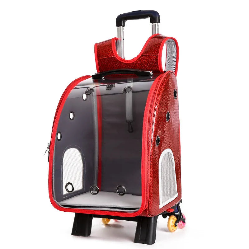 Transparent pet trolley shoulder bag with folding design for small dogs and cats