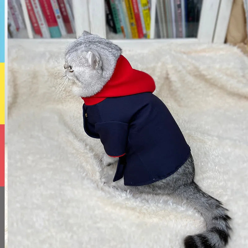 Purple velvet hoodie for a small dog worn as a photo prop on a white background.