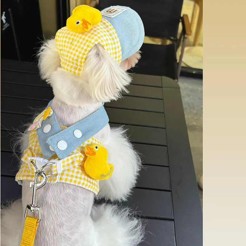 Pet harness and leash set with wire rope pulling toy, cute hat, and cat clothes on a dog and cat.