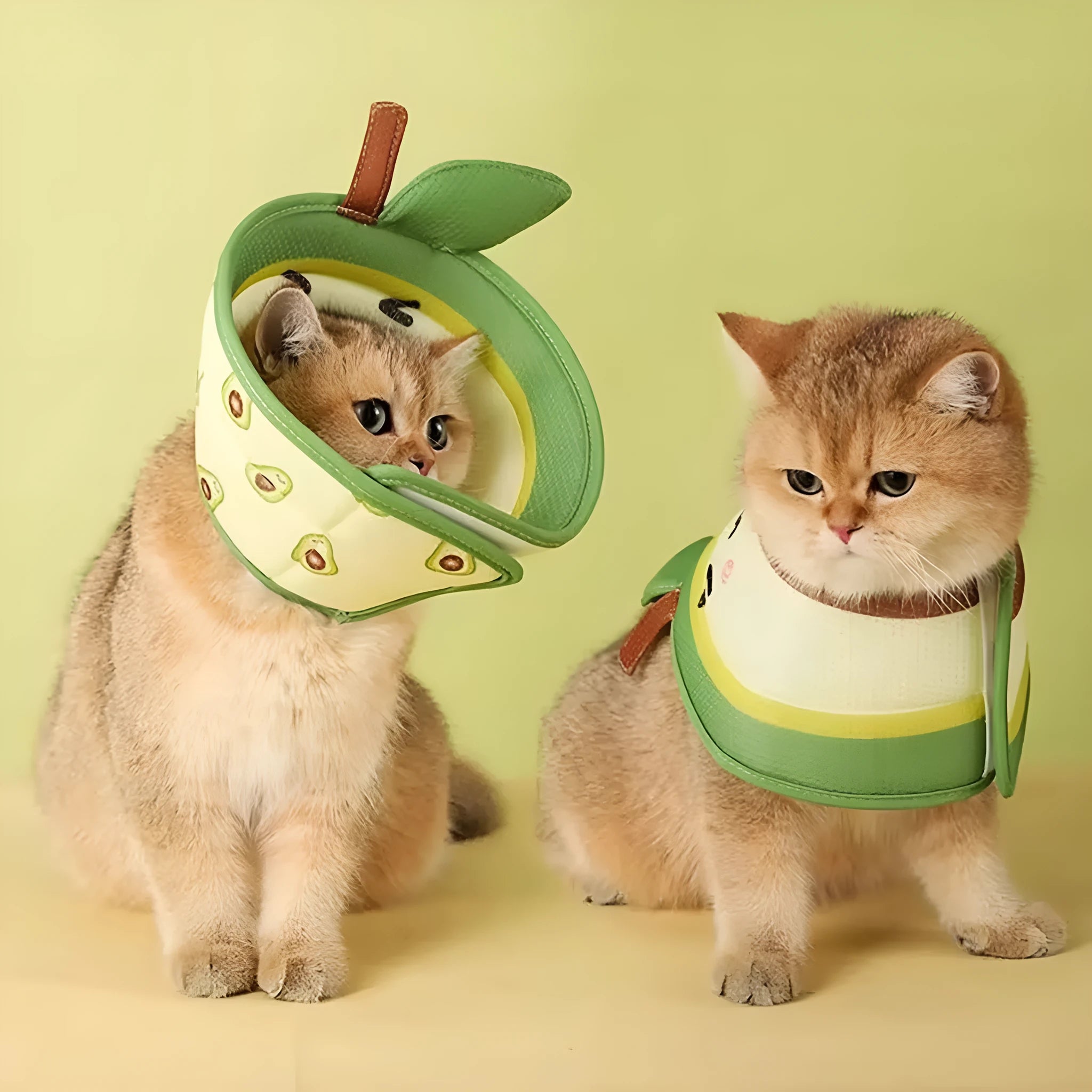 Soft EPE foam cat recovery cone collar with adjustable neck strap shown on a surface