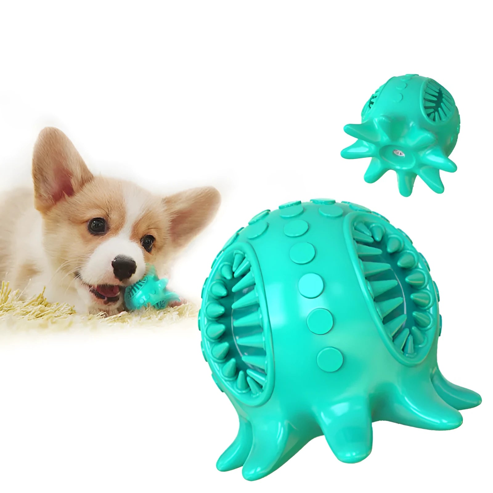 Small octopus dog toothbrush chew toy in blue colour with bristle surfaces for dental cleaning