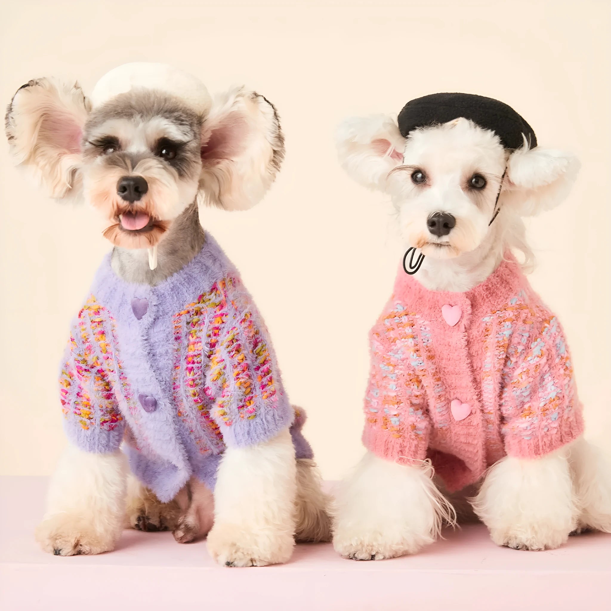 Purple wool pet cardigan sweater for female dogs, autumn winter design, XS-2XL sizing
