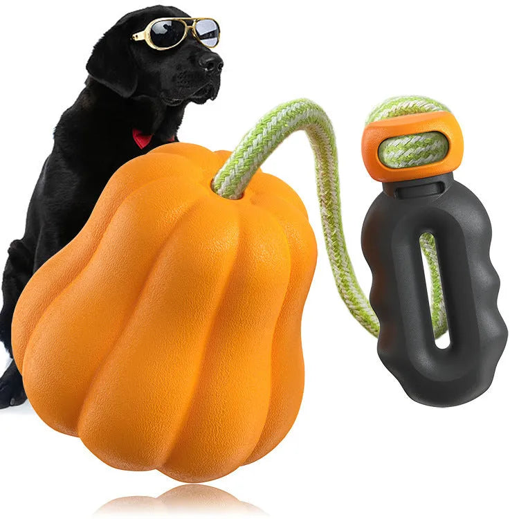 Orange plastic molar-shaped dog chew toy with a rope attached for tug-of-war play.