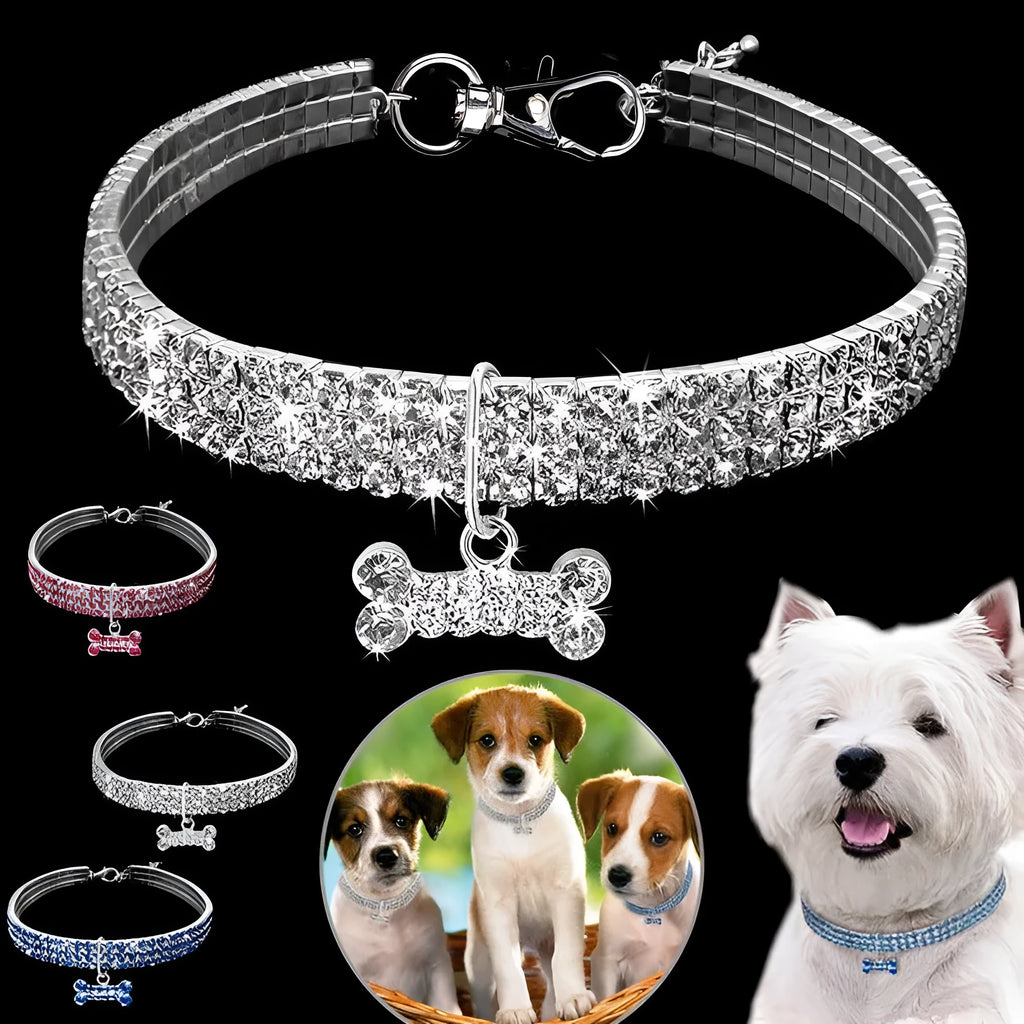 Bling rhinestone dog collar in pink with metal crystal pendant on a Chihuahua