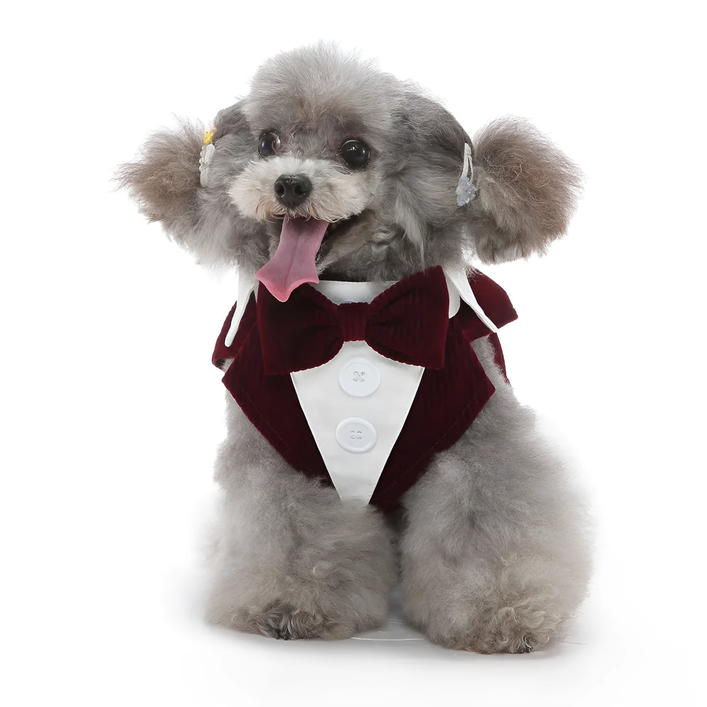 Plain polyester dog tuxedo shirt in Blue plaid colour for pets sizes XS to XL