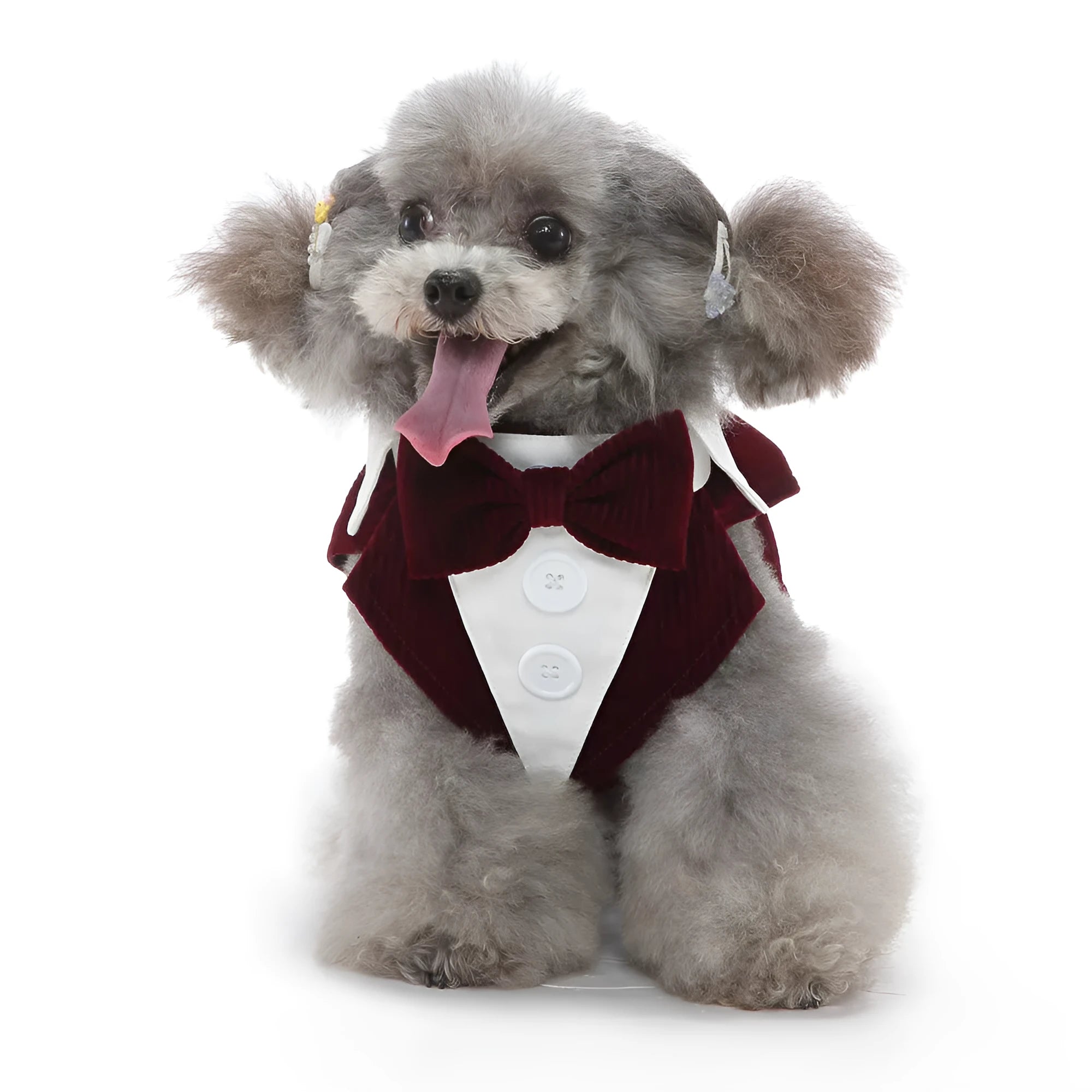 Plain polyester dog tuxedo shirt in Blue plaid colour for pets sizes XS to XL