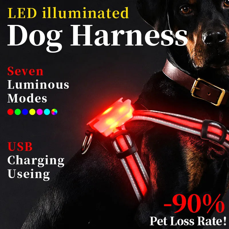 Nylon luminous dog lead with seven-colour changing LED light and charging port