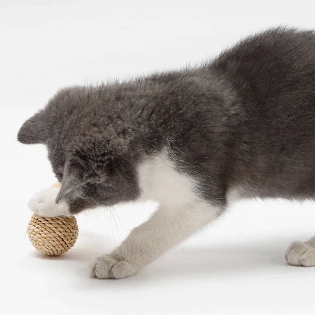 Two cat toys: a hollow rattan ball and a faux feather ball on a plain background