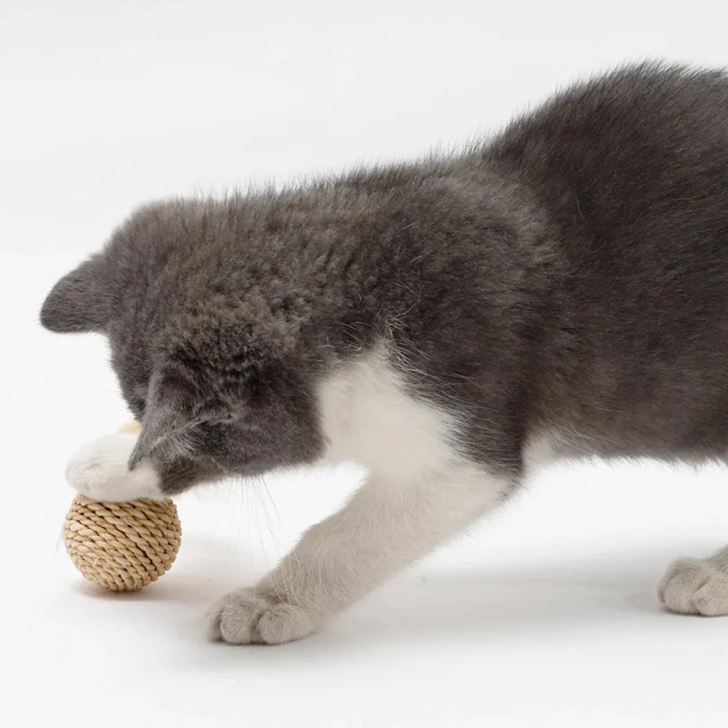 Two cat toys: a hollow rattan ball and a faux feather ball on a plain background