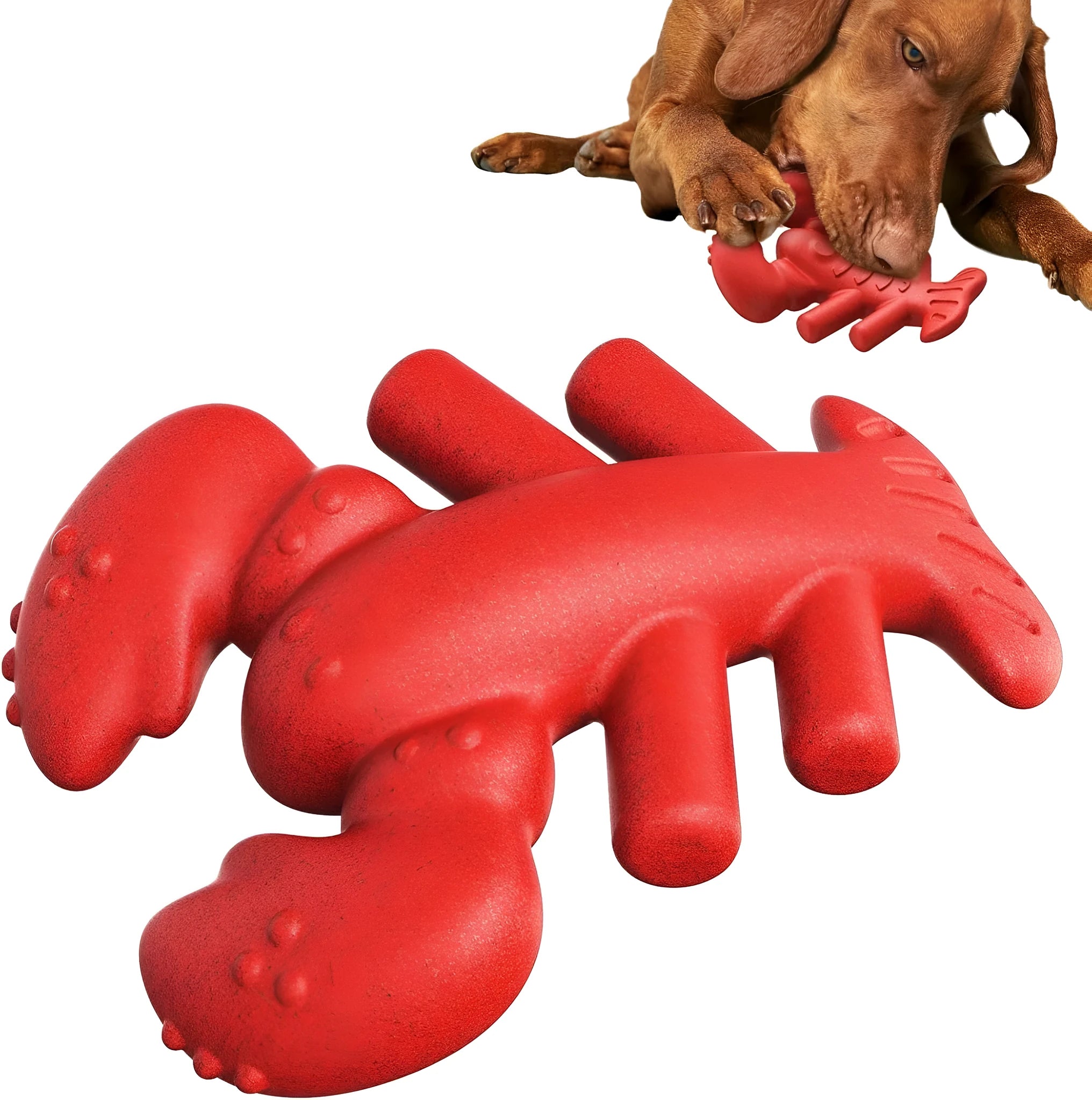 Red hard nylon chew toy for large dogs on a white background