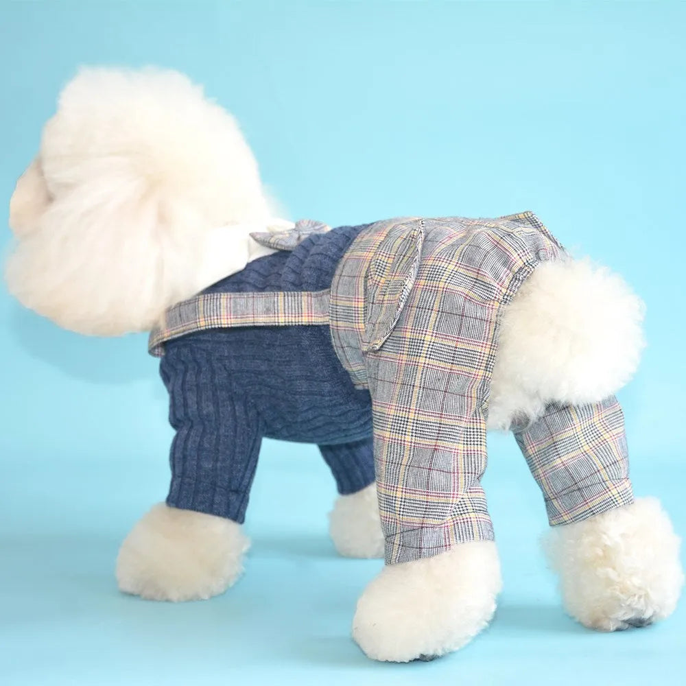 Small breed dog wearing orange cotton shirt with simple collar design