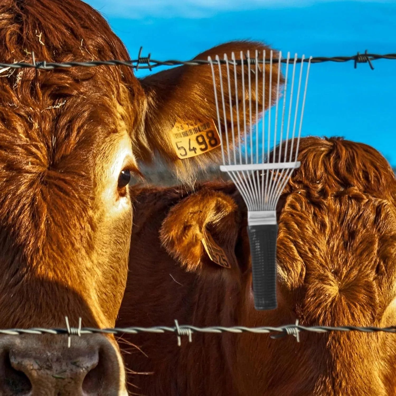 Stainless steel dematting brush rake comb for grooming horses, dogs, and livestock.