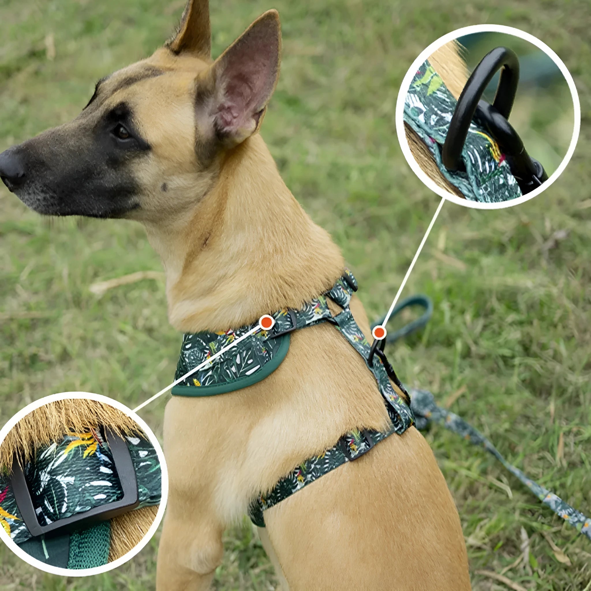Adjustable cloth pet harness vest with haulage rope, collar, bow tie, triangular scarf, and waste bag in six-piece set