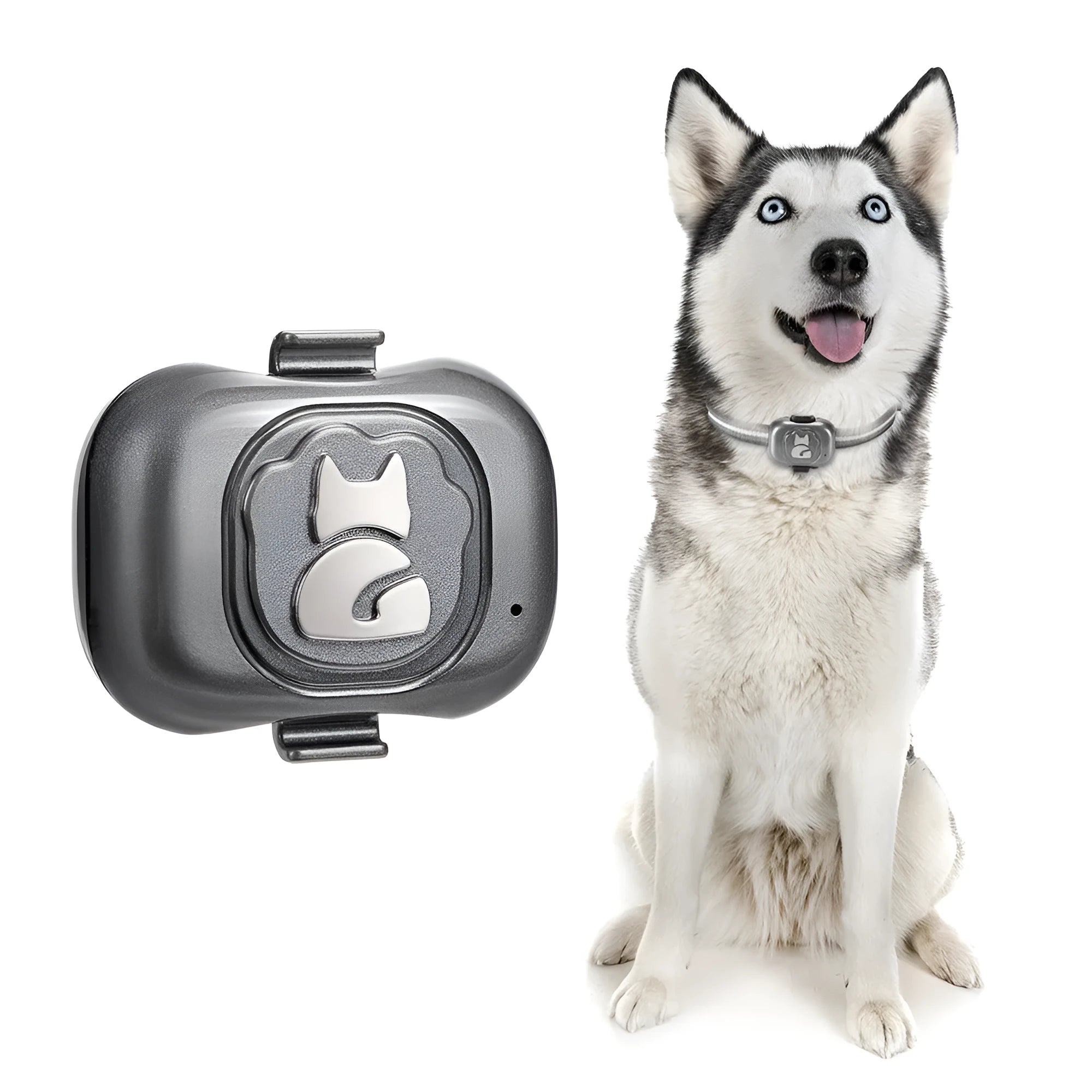 Black Pet GF-07 GPS locator tracker with hanging rope on a dog collar.