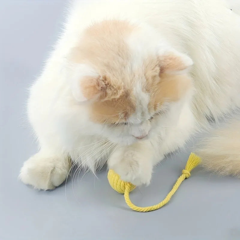 Green cat toy ball with attached rope on a wooden floor, shown next to a yellow 3cm size version.