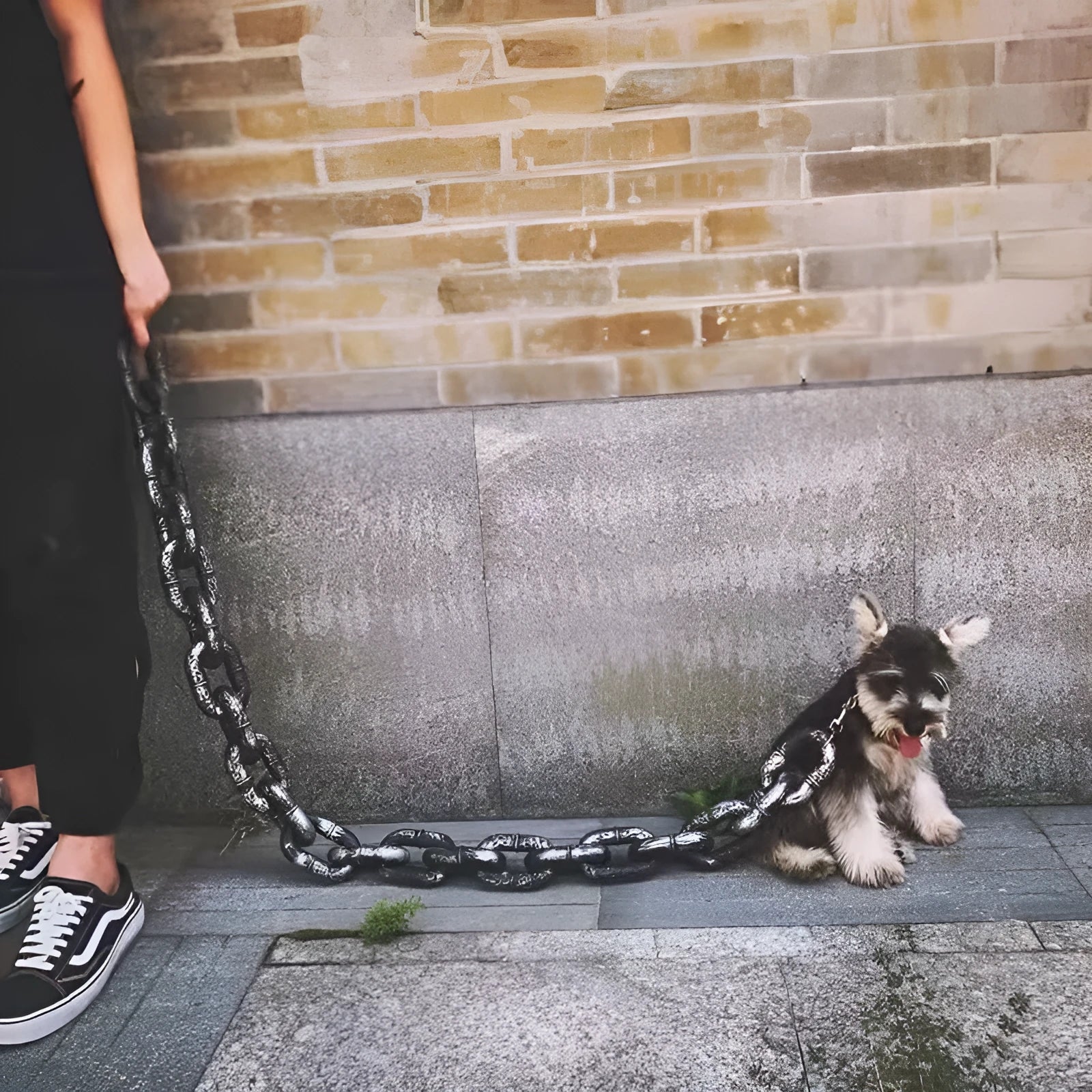 Adjustable polypropylene dog leash prop in bronze, antique silver or black for video production