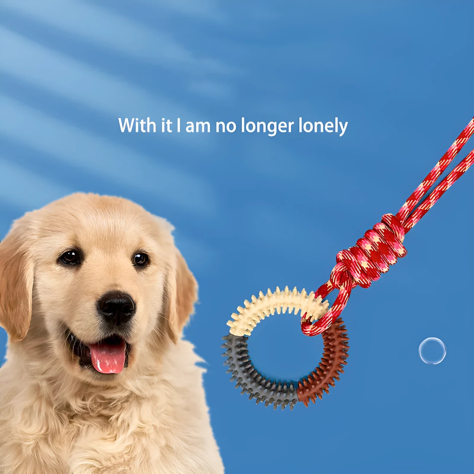 Blue braided rope dog chew toy with knotted ends on a wooden floor
