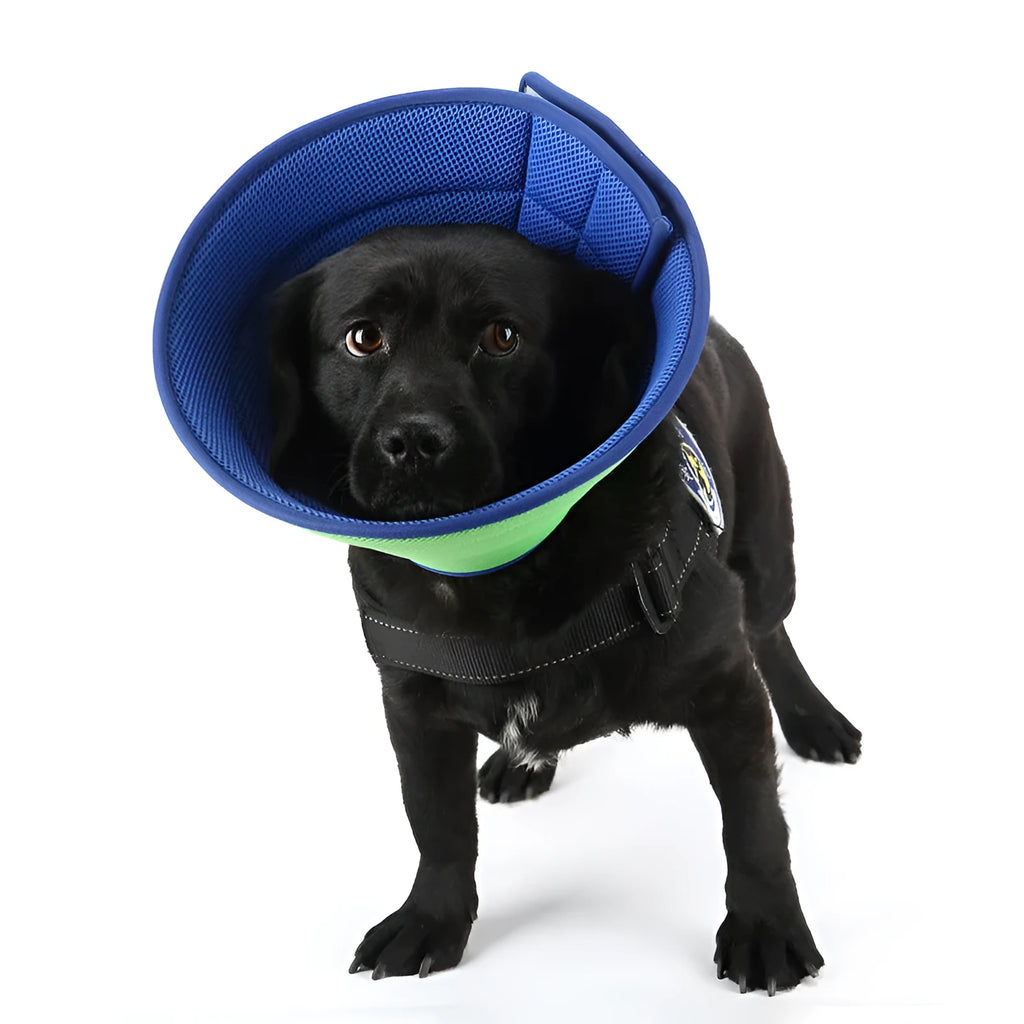 Transparent non-woven fabric pet medical recovery collar for dogs and cats