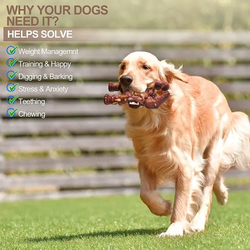 Scarlet coloured nylon dog chew toy with beef flavour for molar nibbling