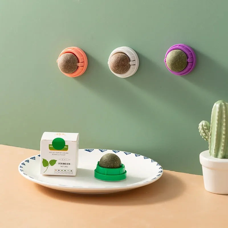 Plastic cat toy with textured dental cleaning surface and catnip ball in multiple colour options