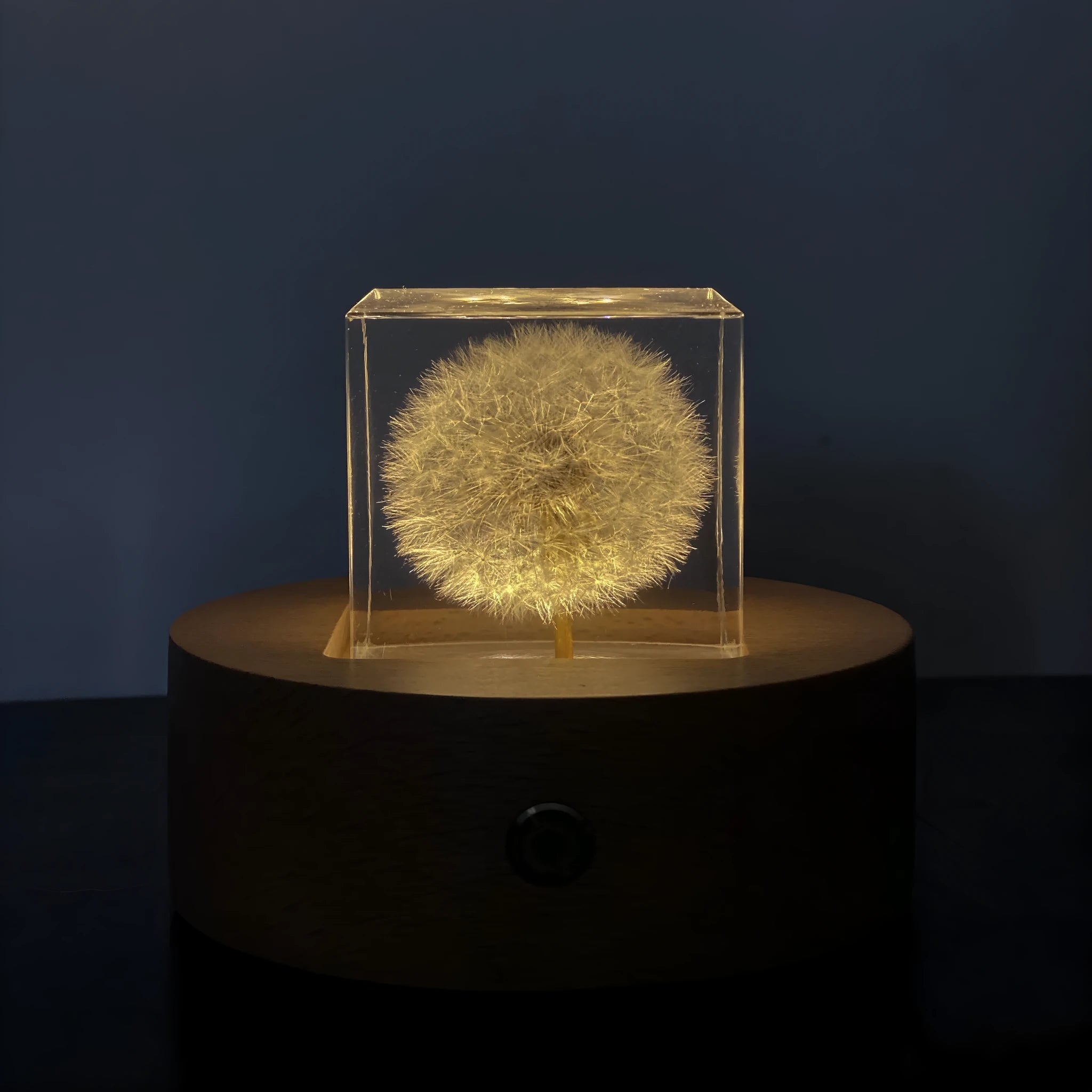 5cm clear resin cube with preserved dandelion inside, wooden box, and USB charging base