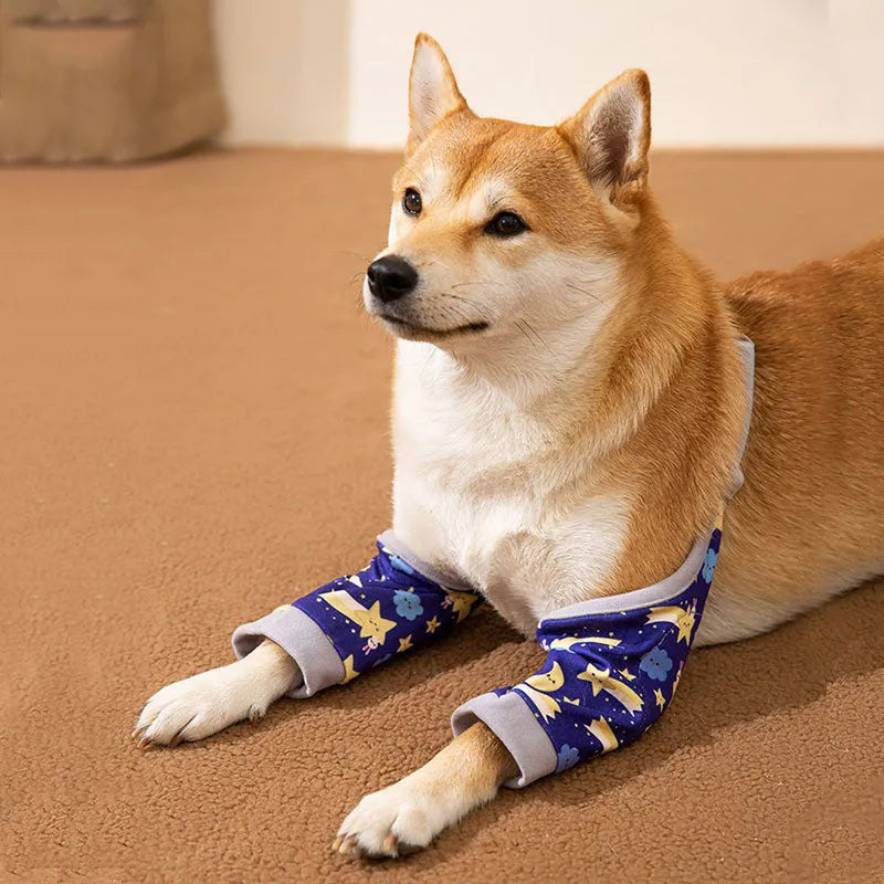 Blue dog knee protector pad with extra-thick elbow padding and adjustable buckle, shown with matching scarf accessory