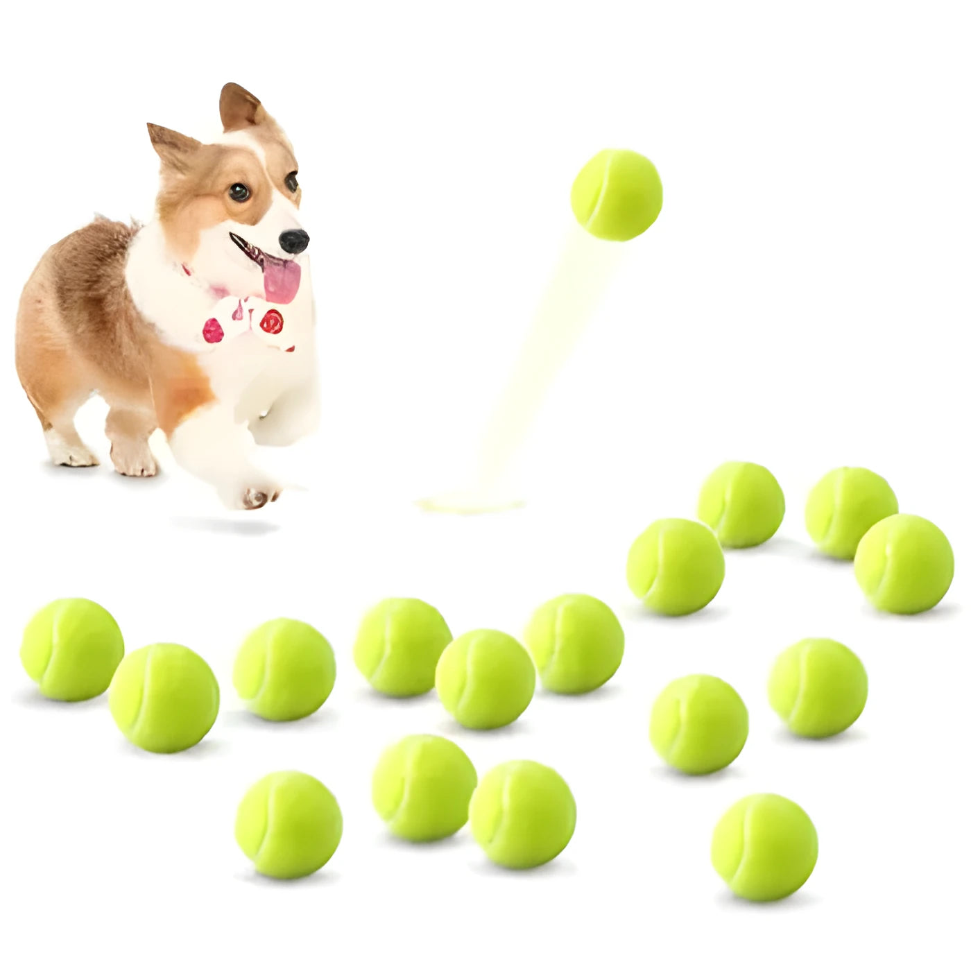 Bright coloured 6.3cm rubber dog tennis ball toy for bite-resistant fetch and chew play.