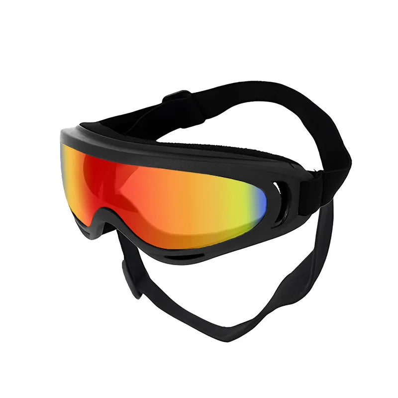 Dog wearing windproof plastic glasses with a coloured lens, showing PVC frame and casual style for outdoor use