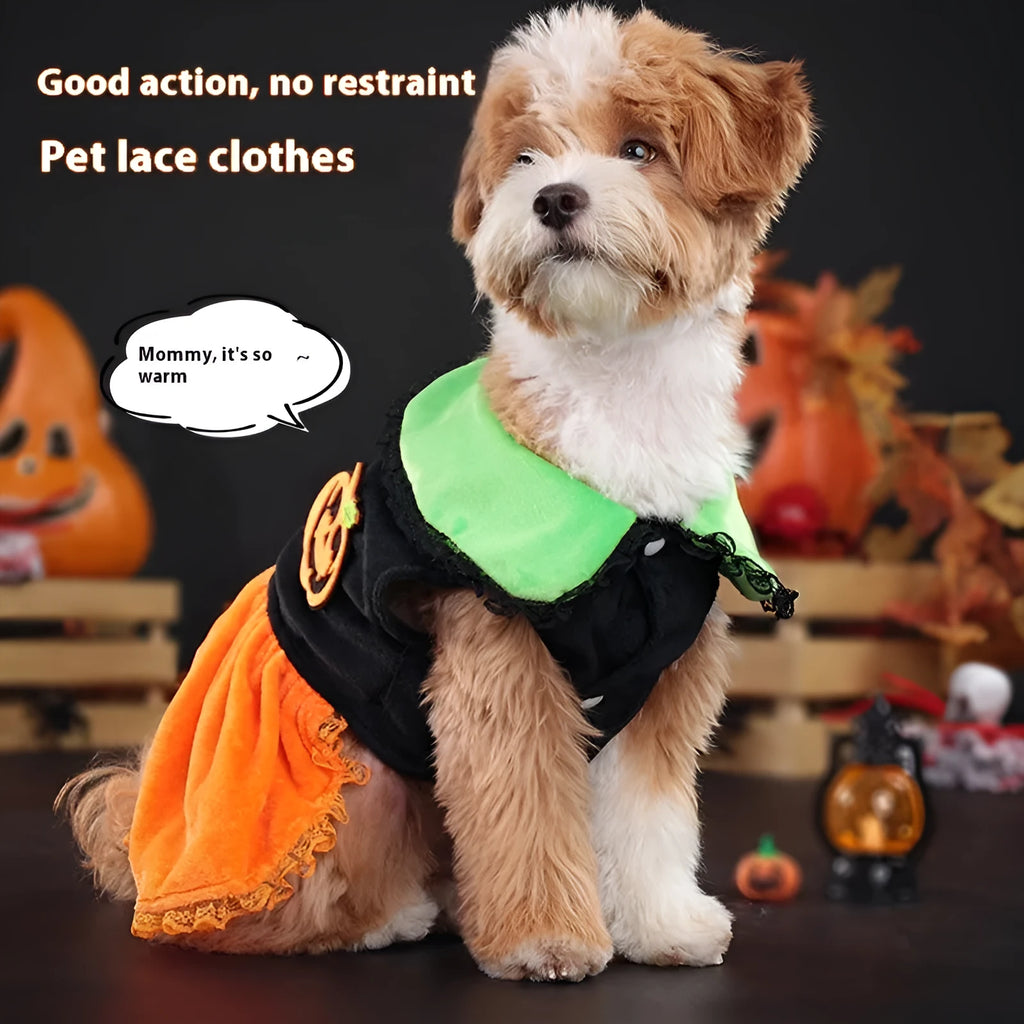 Orange crystal velvet Halloween pumpkin skirt costume on a small dog, with size chart showing measurements.