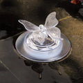Solar LED float lamp with dragonfly ornament floating on pond water showing 7 colour changing lights