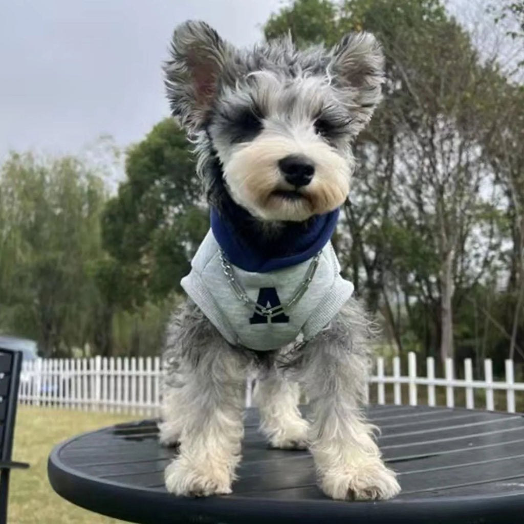 Blue and grey white polyester pet hoodie sweater with reflective lettering for dogs and cats