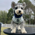 Blue and grey white polyester pet hoodie sweater with reflective lettering for dogs and cats