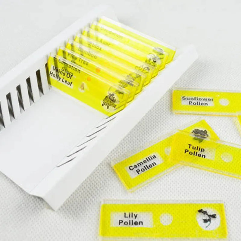 48 plastic microscope slides in red, green, yellow, and blue boxes containing prepared plant and animal specimens
