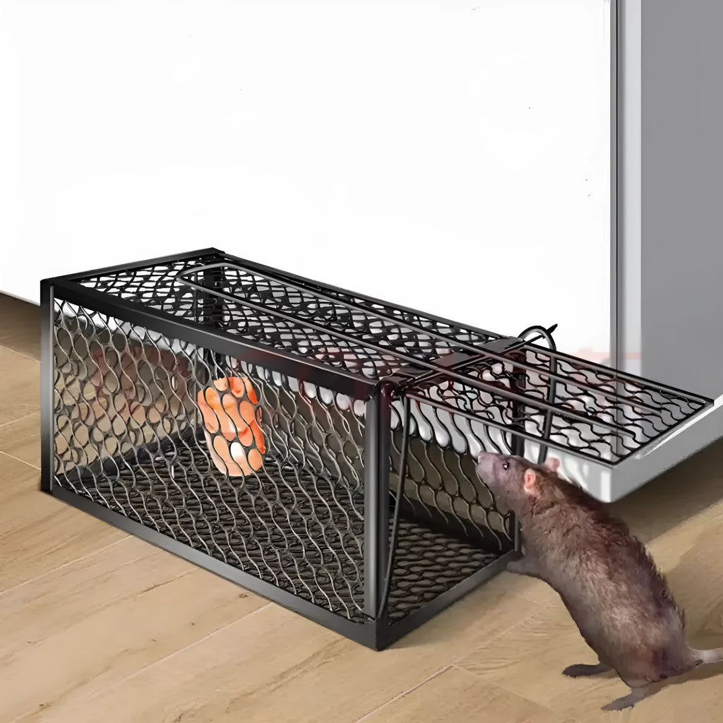 Automatic mouse cage trap with metal and plastic construction for indoor rodent control