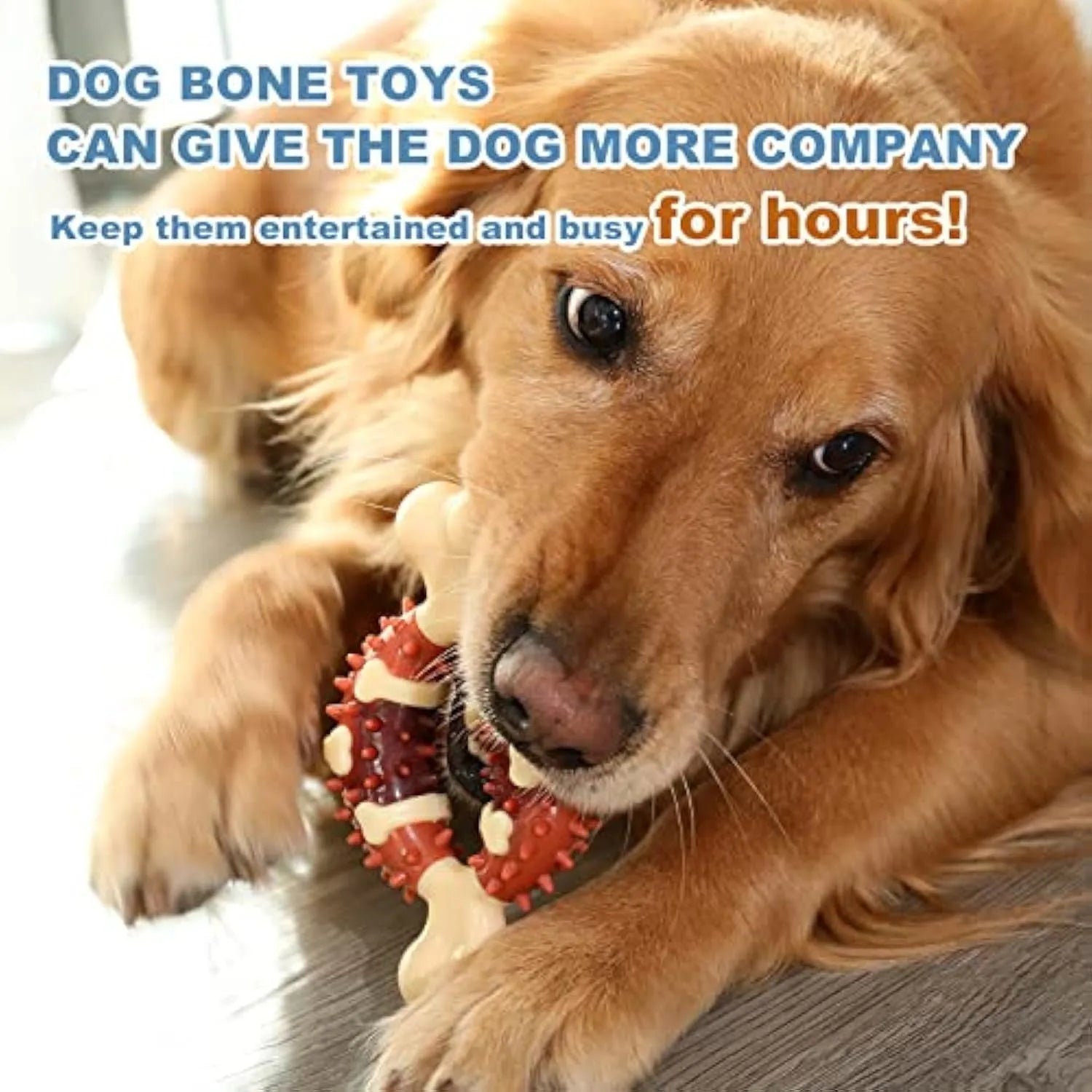 Bone-shaped natural rubber dog chew toy in large and small sizes for teeth grinding