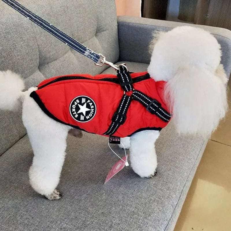 Red waterproof dog coat with harness attachment for a large breed dog in winter.