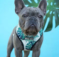 Small dog polyester chest strap harness in red with adjustable buckles