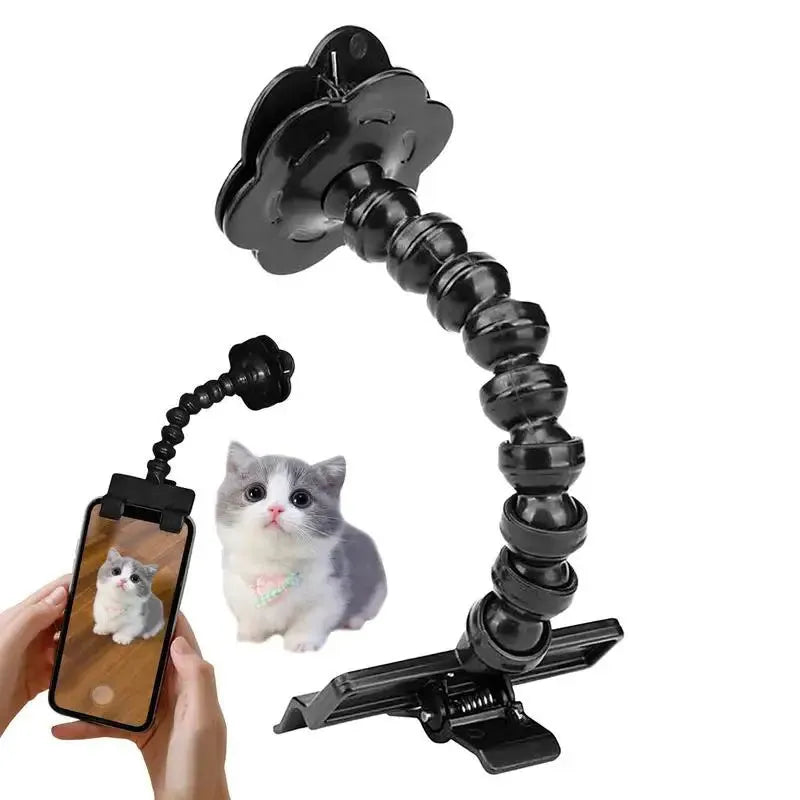 Black pet photography tool with phone clamp and treat holder for cat and dog photography