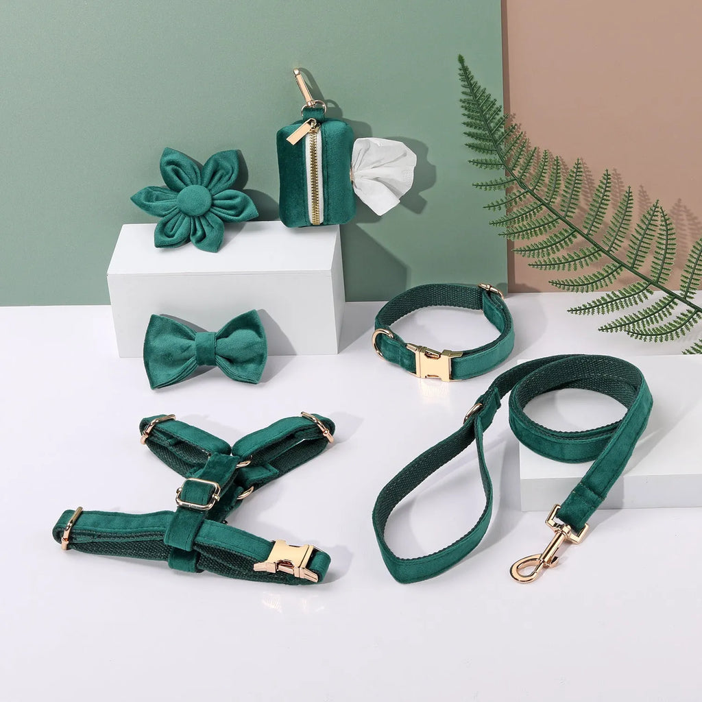 Pet collar and traction rope set in velvet fabric with bow tie, flower, and chest strap accessories