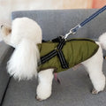 Red waterproof dog coat with harness attachment for a large breed dog in winter.