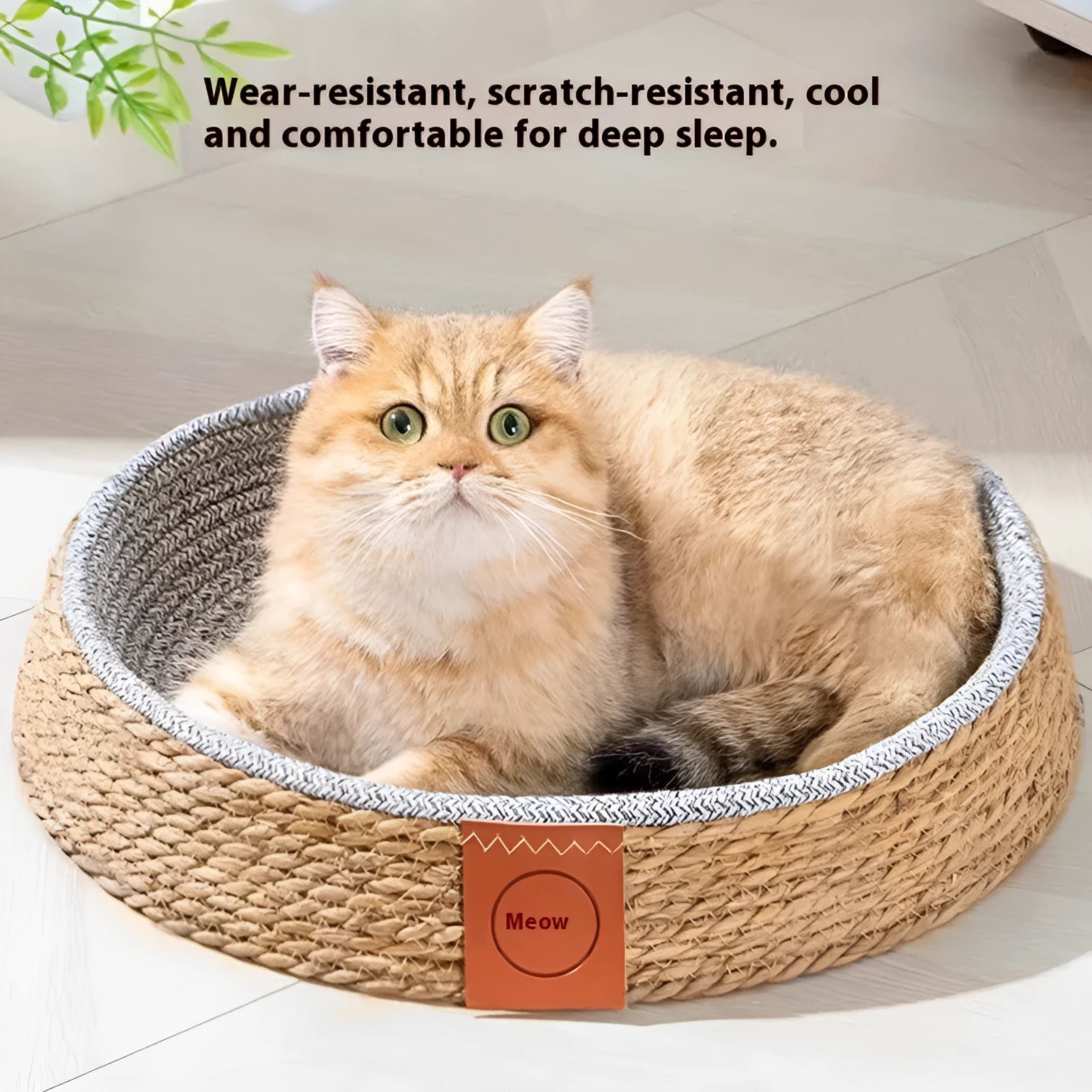Rattan woven cat nest bed with raised sides in multiple sizes for pet comfort