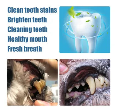 Yegbong pet teeth whitening pen twin pack with dental brushes for dog and cat dental care