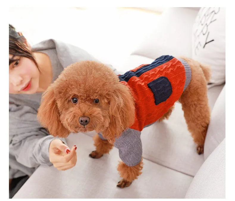 Blue dog sweater on a small breed dog showing cotton knit fabric and pull-on style