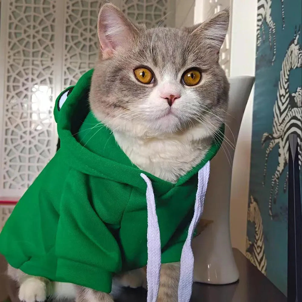 Green frog costume pet hoodie on small dog showing frog pattern design and hood